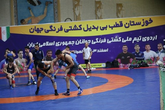 با موافقت فدراسیون کشتی :